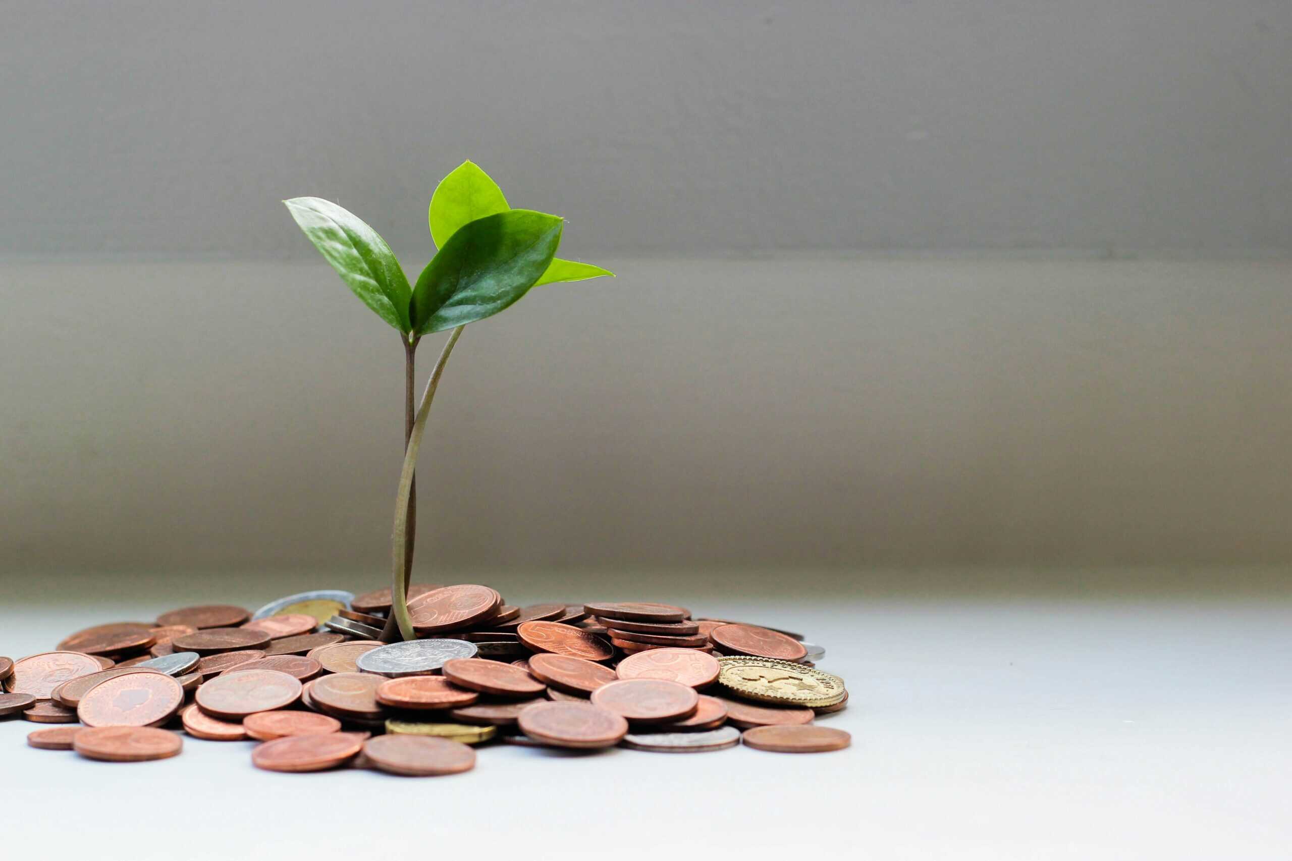 Building healthy financial habits and setting smart money goals for students.