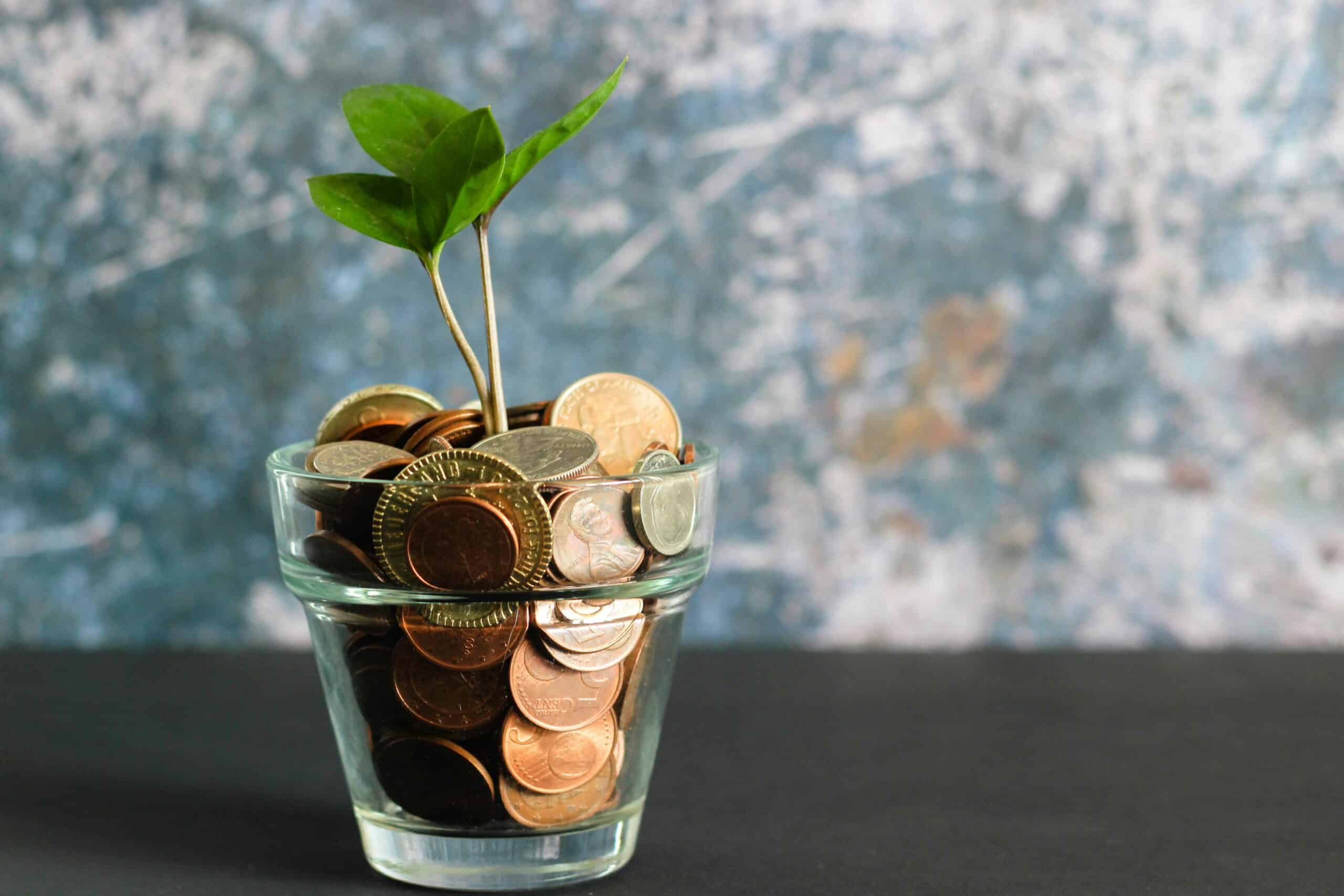 Money 101 foundation course for personal finance beginners