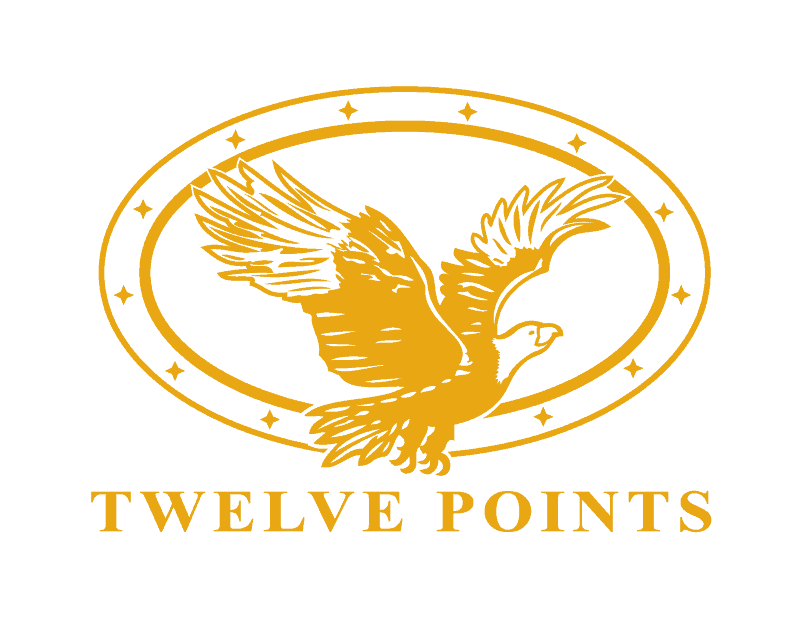 TwelvePoints Logo