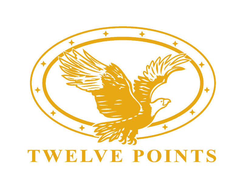 TwelvePoints Logo